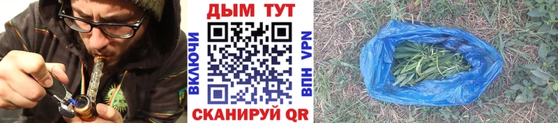 Продажа наркотиков Щёлково Амфетамин  Гашиш  Каннабис  Кокаин  Альфа ПВП 