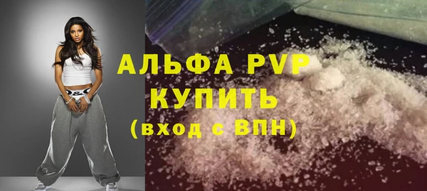 стаф Вязьма