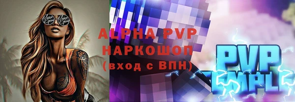 стаф Вязьма
