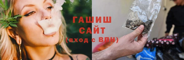 стаф Вязьма