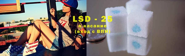 стаф Вязьма