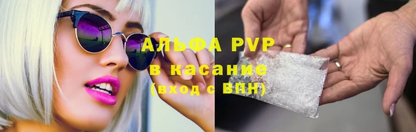 стаф Вязьма
