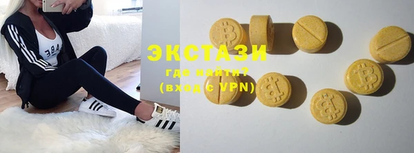 стаф Вязьма