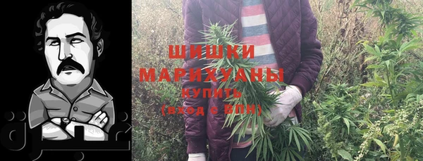 стаф Вязьма