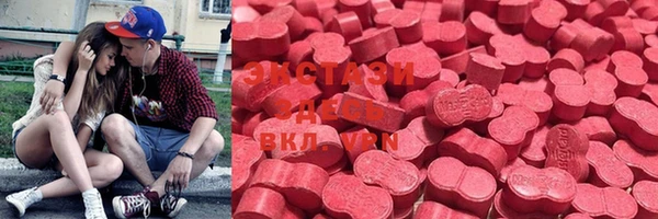 стаф Вязьма