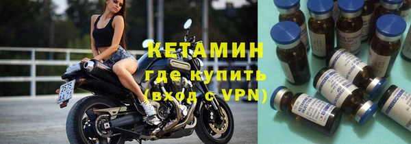 стаф Вязьма