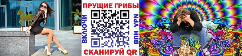 цены   Щёлково  Псилоцибиновые грибы ЛСД 